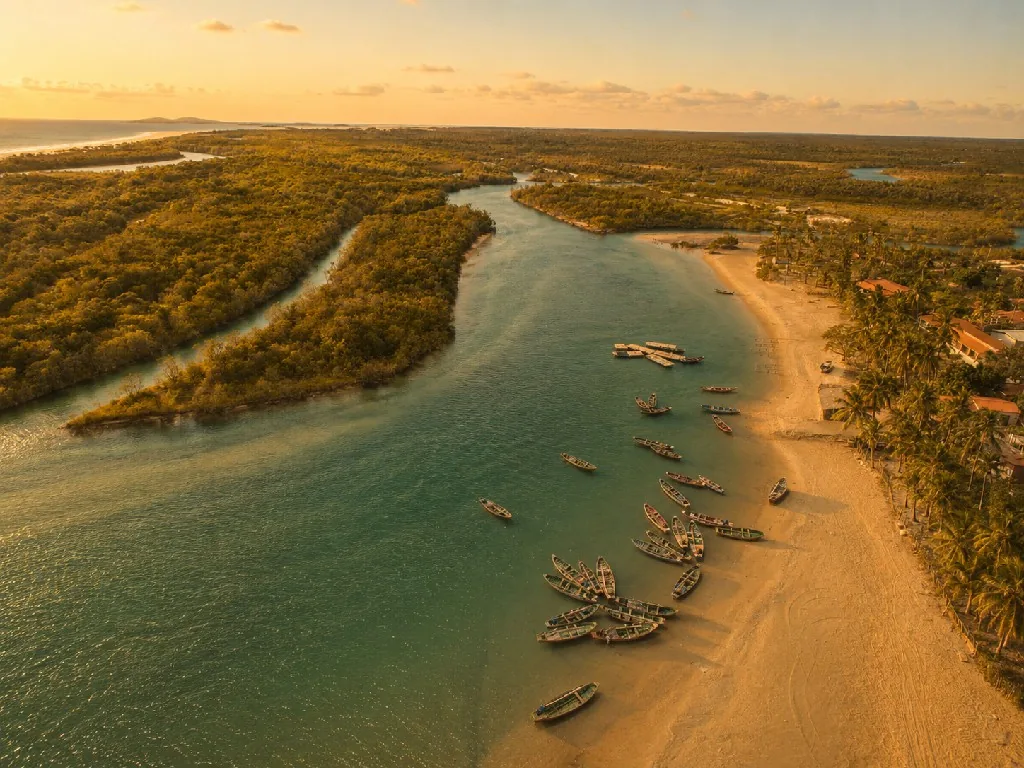 Rio e mangue