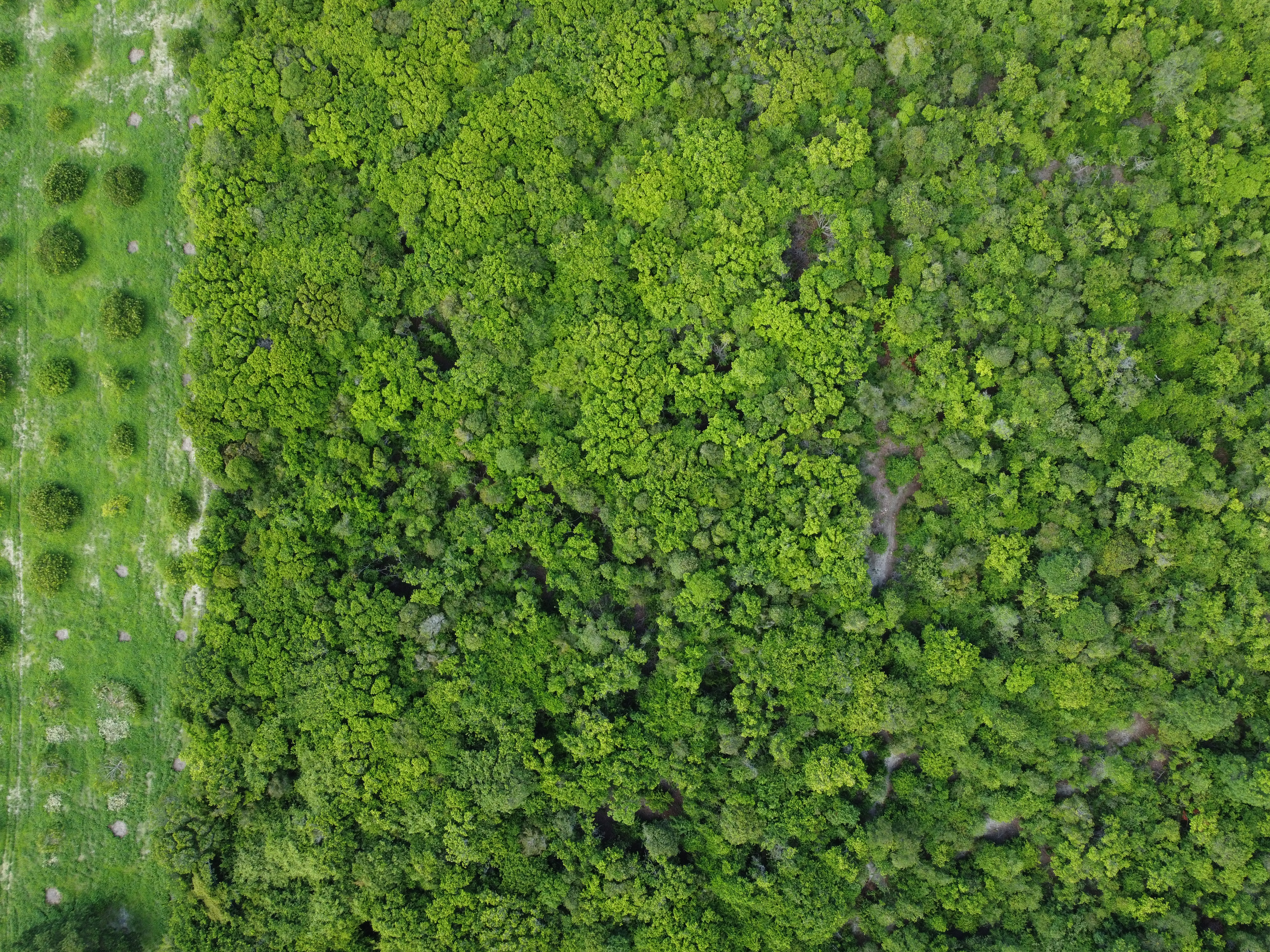 Vista aérea Oásis do Atlântico 1