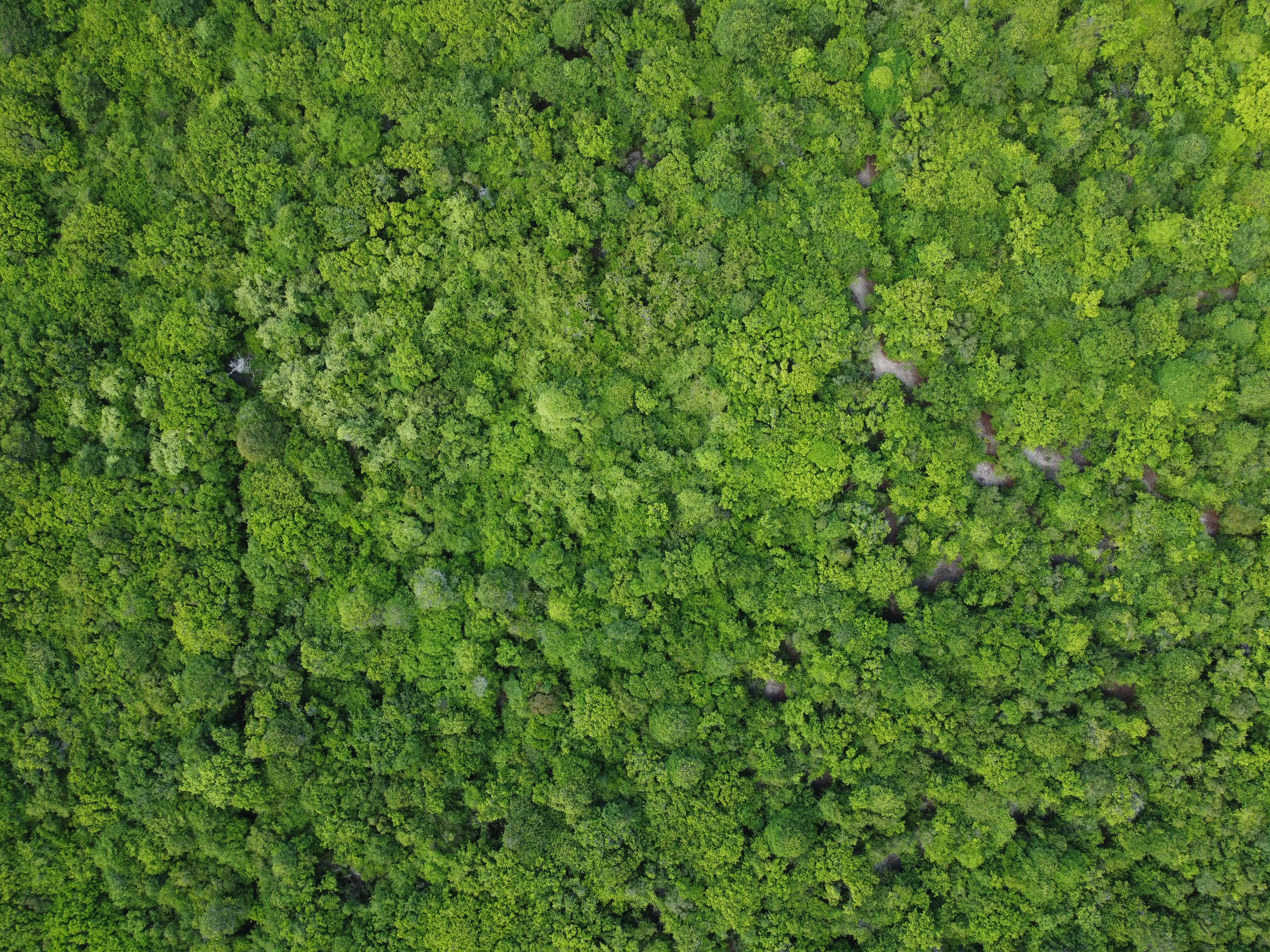 Vista aérea Oásis do Atlântico 2